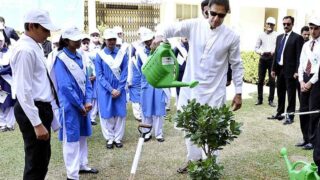 Green Pakistan