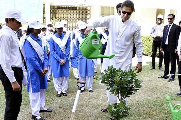 سر سبز پاکستان اور ہماری زندگی حصہ سوئم