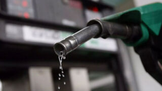 Oil