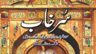 Surkhaab By Irfan Javed