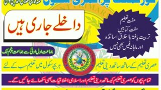 Govt Ps Salahuddin Chaman