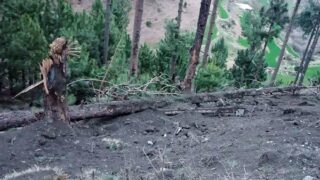 Indian Jets Strike in Pakistan