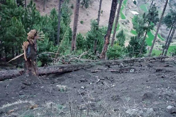 پاکستان میں کارروائی پر بھارت میں جشن کا ماحول