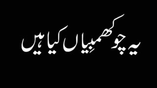 Ya Choghmbain Kia Hain