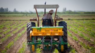 Agriculture