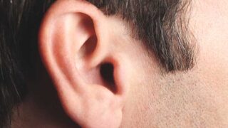 Ear