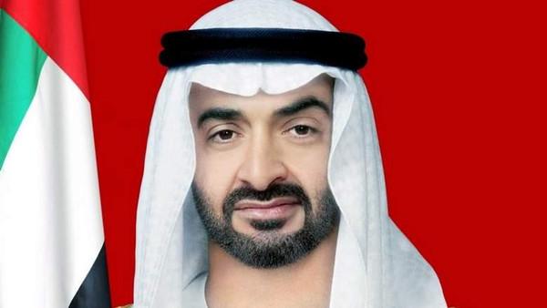 پاکستان اور بھارت دانش مندی اور مذاکرات سے کشیدگی کا خاتمہ کریں: شیخ محمد بن زاید