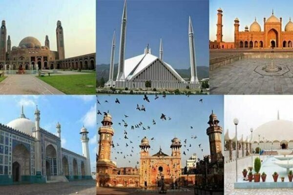 تعصب یا خوف