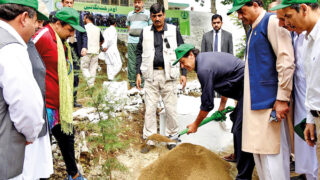 Plantation Campaign