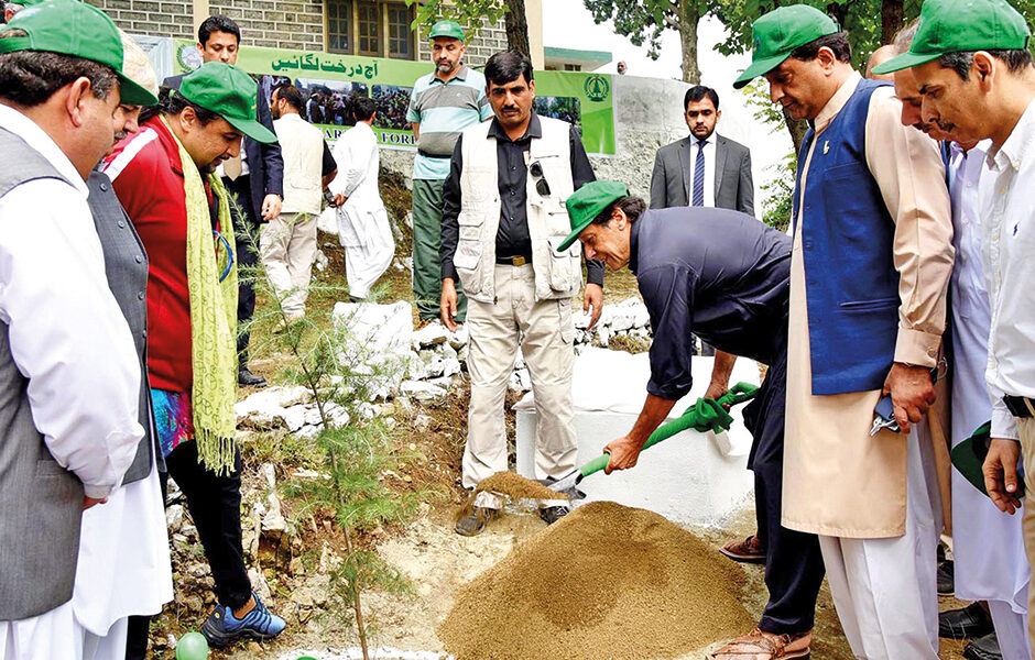 Plantation Campaign