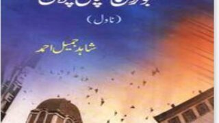 Shahid Jamil Ahmed