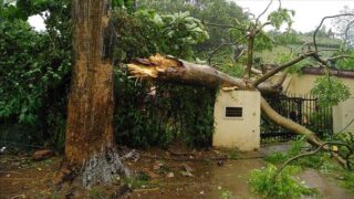 India Storm