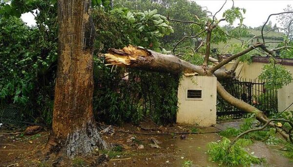 بھارت، اڑیسا میں طوفان کی تباہ کاریاں جاری