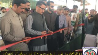 Opening