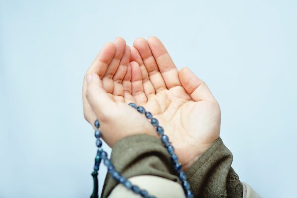 جیسی کرنی ویسی بھرنی