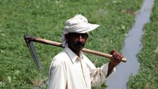 Punjab Farmers