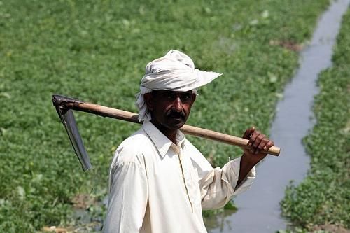 Punjab Farmers