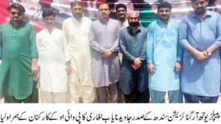 PPP Sindh