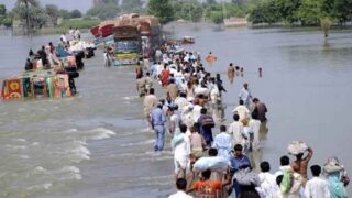 Flood