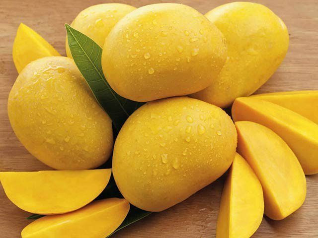 Mango