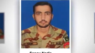 Nadir Hussain