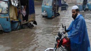 Peshawer Rain