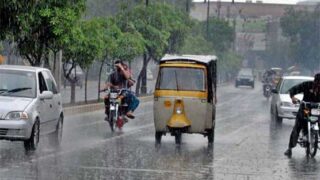 Rain