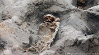 Discover Physical Remains of Children