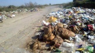 Garbage Cleaning