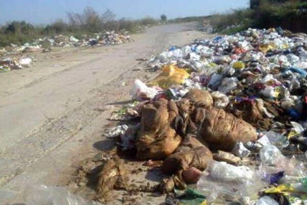 کراچی: شہر کے کئی علاقوں سے آلائشیں تاحال نہ اٹھائی جا سکیں