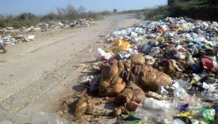 Garbage Cleaning