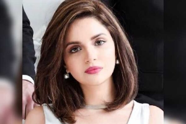 کشمیریوں کے لیے آواز اٹھانے پر کئی پروجیکٹ گنوا دیئے، ارمینا