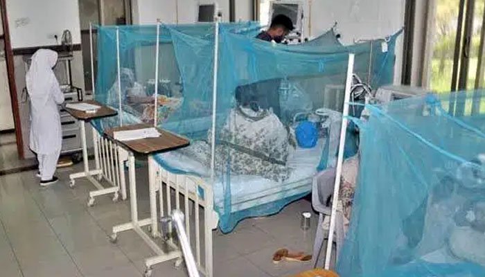 Dengue Virus