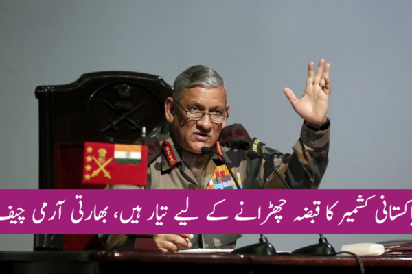 پاکستانی کشمیر کا قبضہ چھڑانے کے لیے تیار ہیں، بھارتی آرمی چیف