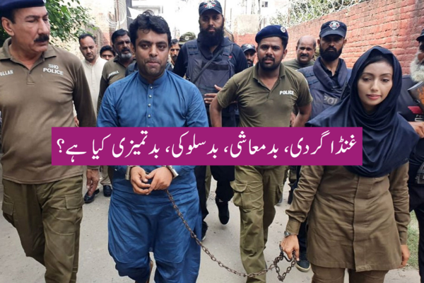 وکیل کا خاتون پولیس اہلکار کو  تھپڑ۔۔۔؟؟؟