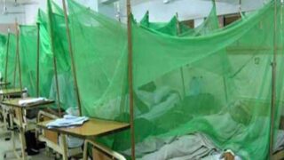 Dengue Patients