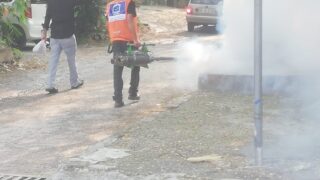 Dengue Spray