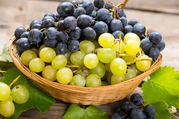 طبی نبویﷺ کے مطابق انگور کے فوائد