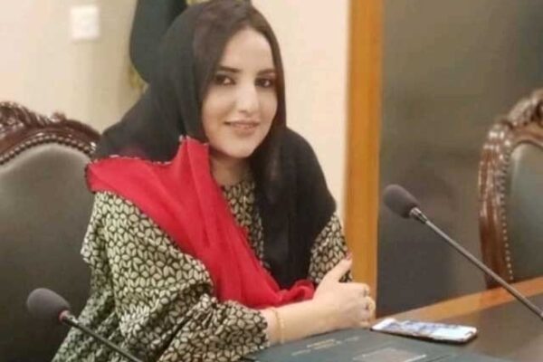 حریم شاہ کی دفتر خارجہ میں داخل ہونے کی ویڈیو پر تنازع