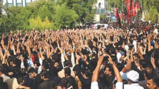 Jaloos