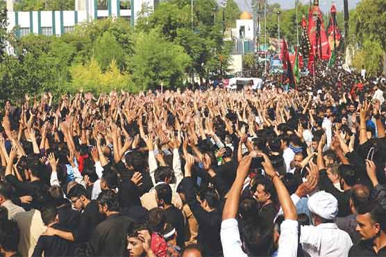 Jaloos