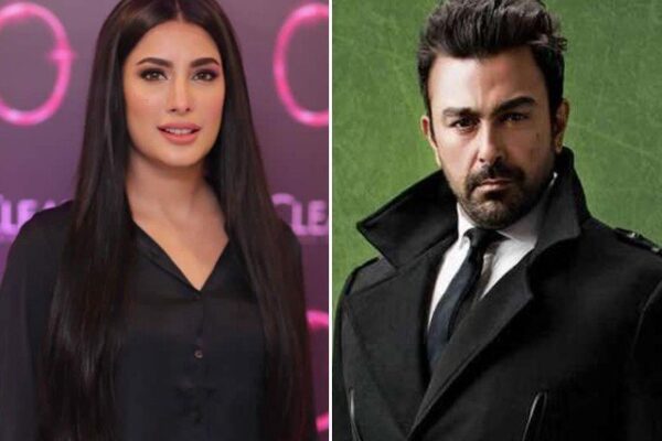 صرف لڑکیوں نہیں لڑکوں کو بھی تعلیم دی جائے، شان کا مہوش حیات کو جواب