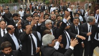 Lawyers