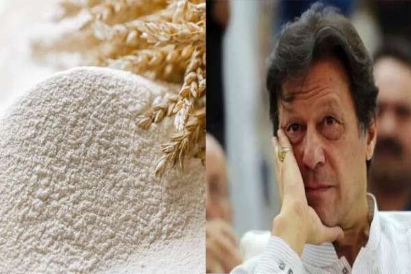 گھاس پھونس کی بادشاہی