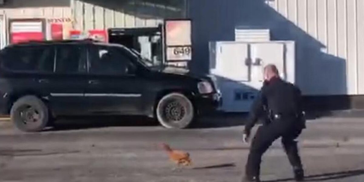 Policeman and Rooster