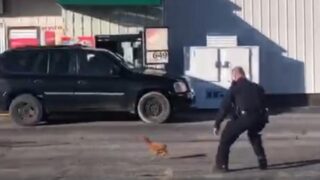 Policeman and Rooster