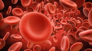 Blood Cells