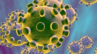 Corona Virus