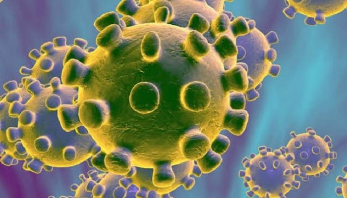 Corona Virus
