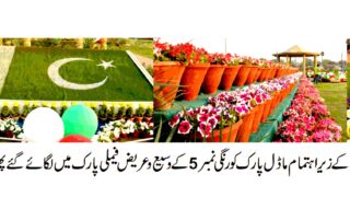 Flower Show & Family Festival